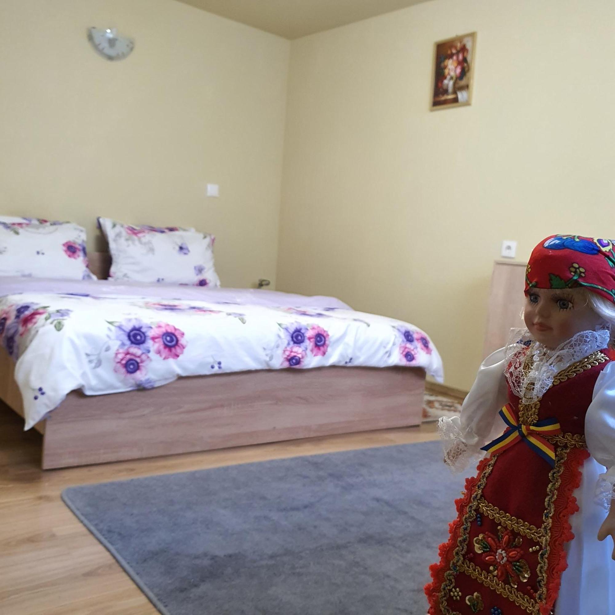 Carissa House Lägenhet Braşov Exteriör bild